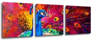 Impresi Obraz Farebný páv - 90 x 30 cm (3 dielny)