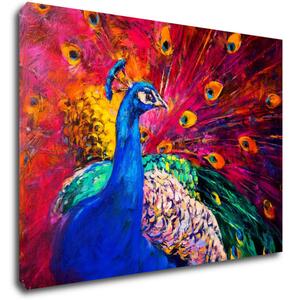 Impresi Obraz Farebný páv - 70 x 50 cm