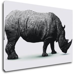 Impresi Obraz Nosorožec na bielom pozadí - 60 x 40 cm