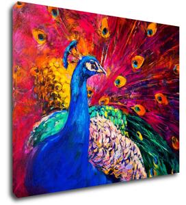 Impresi Obraz Farebný páv - 90 x 70 cm