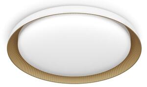 Philips - LED Stmievateľné stropné svietidlo PEBBLO LED/10W/230V 4000K biela