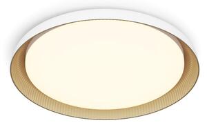 Philips - LED Stmievateľné stropné svietidlo PEBBLO LED/10W/230V 2700K biela