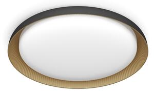 Philips - LED Stmievateľné stropné svietidlo PEBBLO LED/10W/230V 2700K čierna