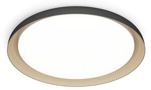 Philips - LED Stmievateľné stropné svietidlo PEBBLO LED/10W/230V 4000K čierna