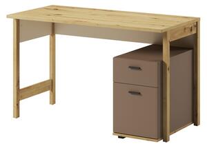 Písací stôl LENNY dub artisan/béžová/hľuzovková