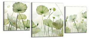 Obraz na plátne Zelené listy lotosu