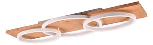 STROPNÉ LED SVIETIDLO, 97/33/10 cm Trio Leuchten - Interiérové svietidlá