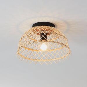 Eglo 43831 - Stropné svietidlo AUSNBY 1xE27/40W/230V