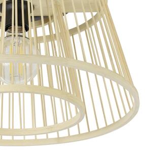 Eglo 43851 - Stropné svietidlo HYKEHAM 1xE27/40W/230V