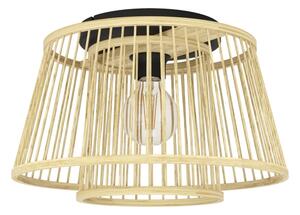 Eglo 43851 - Stropné svietidlo HYKEHAM 1xE27/40W/230V
