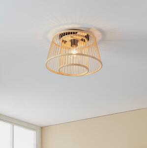 Eglo 43851 - Stropné svietidlo HYKEHAM 1xE27/40W/230V