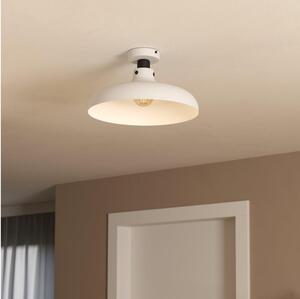 Eglo 43842 - Stropné svietidlo MATLOCK 1xE27/40W/230V