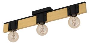 Eglo 43901 - Stropné svietidlo BAILRIGG 3xE27/40W/230V