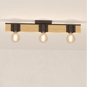 Eglo 43901 - Stropné svietidlo BAILRIGG 3xE27/40W/230V