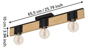 Eglo 43901 - Stropné svietidlo BAILRIGG 3xE27/40W/230V
