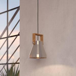 Eglo 43951 - Luster na lanku CAWTON 1xE27/40W/230V