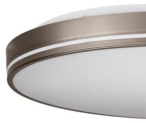 Eglo 75707 - LED Stmievateľné stropné svietidlo LED/22W/230V 3000-6500K + DO