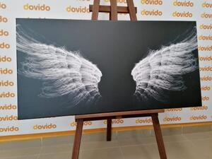 Obraz čiernobiele anjelské krídla - 100x50