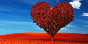 Obraz nádherný strom v tvare srdca - 100x50