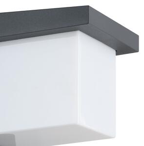 Eglo 95097 - Vonkajšie nástenné svietidlo DESELLA 1 LED/10W/230V