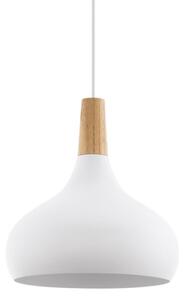 Eglo 901178 - Závesný luster na lanku SABINAR 1xE27/60 W/230 V, pr. 28 cm, biely-