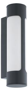 Eglo 97119 - LED vonkajšie nástenné svietidlo TONEGO 2xLED/6W/230V