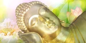 Obraz spiaci Budha - 100x50
