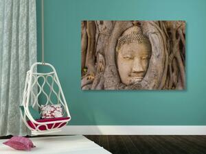 Obraz Budhov posvätný figovník - 60x40