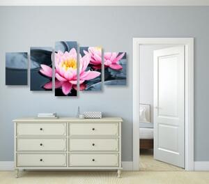 5-dielny obraz lotosový kvet v jazere - 100x50