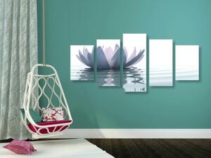 5-dielny obraz lotosový kvet - 100x50