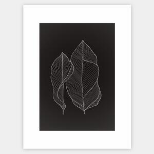 Plagát Two Leaves in Black