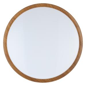 Eglo 98601 - LED Stropné svietidlo MUSURITA LED/14,6W/230V