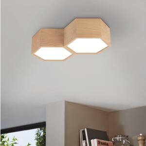 Eglo 98861 - Stropné svietidlo MIRLAS 2xE27/9W/230V
