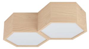Eglo 98861 - Stropné svietidlo MIRLAS 2xE27/9W/230V