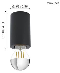 Eglo 99065 - Stropné svietidlo SALUZZO 1xE27/40W/230V