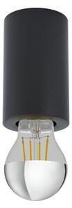 Eglo 99065 - Stropné svietidlo SALUZZO 1xE27/40W/230V