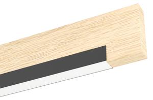Eglo 99292 - LED Stmievateľné stropné svietidlo CAMACHO 2xLED/10W/230V