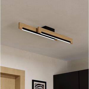 Eglo 99292 - LED Stmievateľné stropné svietidlo CAMACHO 2xLED/10W/230V