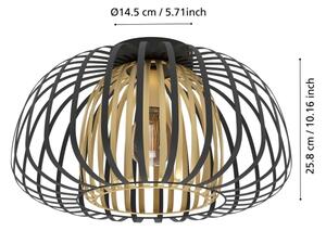 Eglo 99664 - Stropné svietidlo ENCINITOS 1xE27/40W/230V