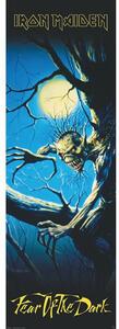 Plagát, Obraz - Iron Maiden - Fear of the Dark, (53 x 158 cm)