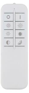 Eglo 99779 - LED Stmievateľné stropné svietidlo SELUCI LED/40W/230V 3000-6500K+ DO