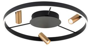Orion DL 7-686/3-LED Stmievateľné stropné svietidlo BERLIN LED/50W/230V čierna/zlatá