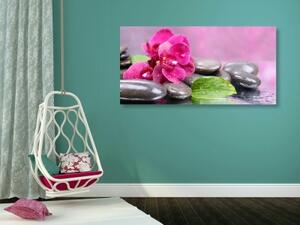 Obraz orchidea s nádychom relaxu - 100x50