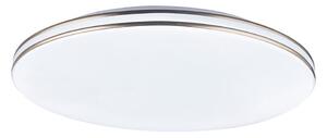 GLOBO 483888-24 - LED Stropné svietidlo PIERRE 1xLED/24W/230V