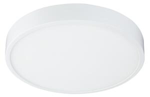 Globo 12364-30 - LED Stmievateľné stropné svietidlo LED/28W/230V