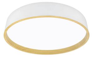STROPNÉ LED SVIETIDLO, 40/8 cm - Interiérové svietidlá