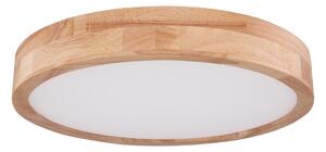 Globo 41745-24 - LED Stmievateľné stropné svietidlo RAINER LED/24W/230V + DO