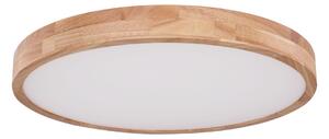 Globo 41745-48 - LED Stmievateľné stropné svietidlo RAINER LED/48W/230V + DO