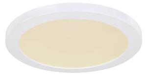 Globo 12379-24W - LED Stropné svietidlo LASSE LED/24W/230V