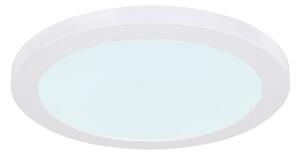 Globo 12379-24W - LED Stropné svietidlo LASSE LED/24W/230V